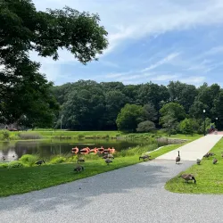 Elm Park - Worcester