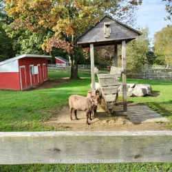 Green Hill Park - Worcester