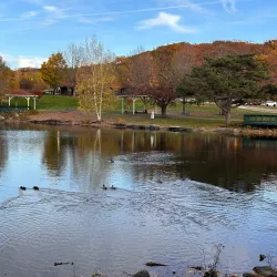 Green Hill Park - Worcester