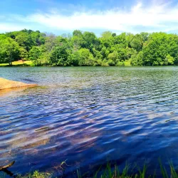 Green Hill Park - Worcester