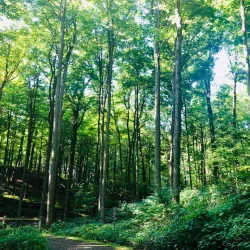 Kalamazoo River Valley Trail - Allegan
