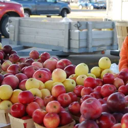 Alpena Farmers Market - Alpena