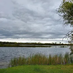 Thunder Bay River - Alpena
