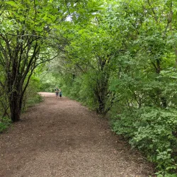 Gallup Park - Ann Arbor