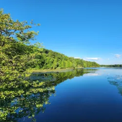 Gallup Park - Ann Arbor