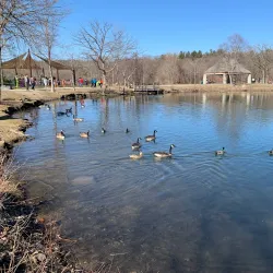 Gallup Park - Ann Arbor