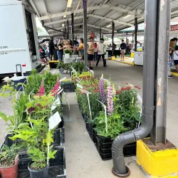 Kerrytown Market & Shops - Ann Arbor