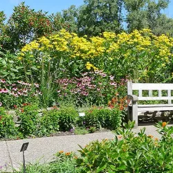 Matthaei Botanical Gardens and Nichols Arboretum - Ann Arbor