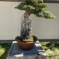 Matthaei Botanical Gardens and Nichols Arboretum - Ann Arbor