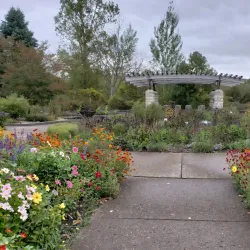 Matthaei Botanical Gardens and Nichols Arboretum - Ann Arbor