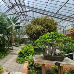 Matthaei Botanical Gardens and Nichols Arboretum - Ann Arbor