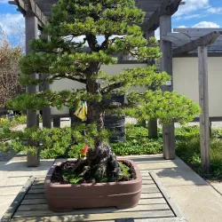 Matthaei Botanical Gardens and Nichols Arboretum - Ann Arbor