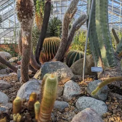 Matthaei Botanical Gardens and Nichols Arboretum - Ann Arbor