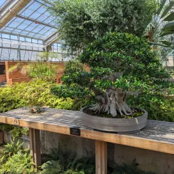 Matthaei Botanical Gardens and Nichols Arboretum - Ann Arbor