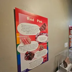 Battle Creek Art Center - Battle Creek