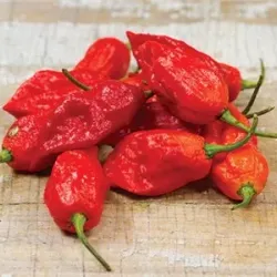 Battle Creek Farmers Market - Battle Creek