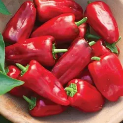 Battle Creek Farmers Market - Battle Creek