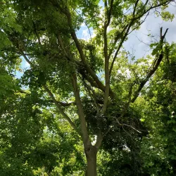 Battle Creek Linear Park - Battle Creek