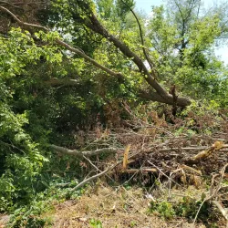 Battle Creek Linear Park - Battle Creek