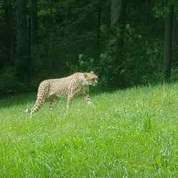 Binder Park Zoo - Battle Creek