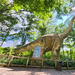 Binder Park Zoo - Battle Creek