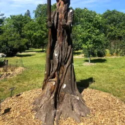 Leila Arboretum - Battle Creek