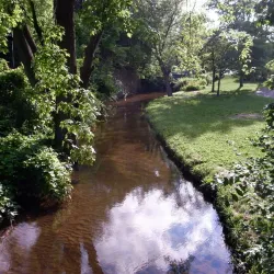 Downtown Big Rapids - Big Rapids