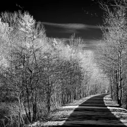 Fred Meijer Berry Junction Trailhead - Big Rapids