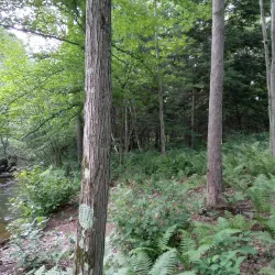 Fred Meijer Berry Junction Trailhead - Big Rapids