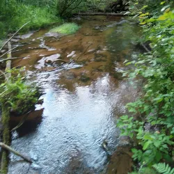 Fred Meijer Berry Junction Trailhead - Big Rapids