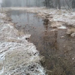 Fred Meijer Berry Junction Trailhead - Big Rapids