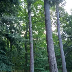 Fred Meijer Berry Junction Trailhead - Big Rapids