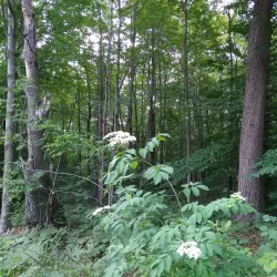 Fred Meijer Berry Junction Trailhead - Big Rapids