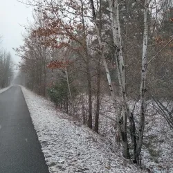 Fred Meijer Berry Junction Trailhead - Big Rapids