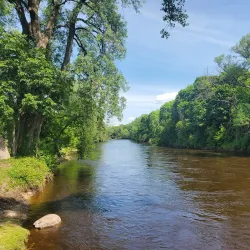 Hemlock Park - Big Rapids
