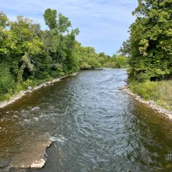 Hemlock Park - Big Rapids