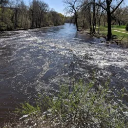 Hemlock Park - Big Rapids