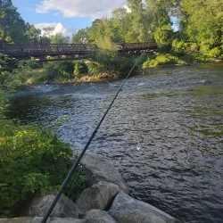 Hemlock Park - Big Rapids
