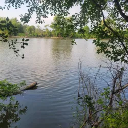 Shiawassee River Heritage Water Trail - Birch Run