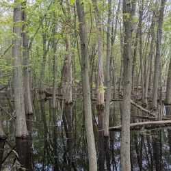 Shiawassee River Heritage Water Trail - Birch Run