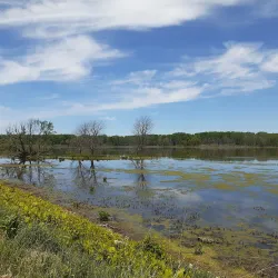 Shiawassee River Heritage Water Trail - Birch Run