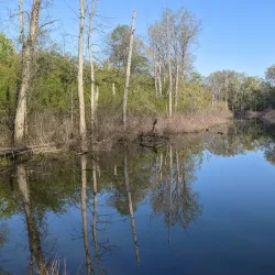 Shiawassee River Heritage Water Trail - Birch Run