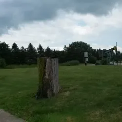 The Village of Birch Run - Birch Run