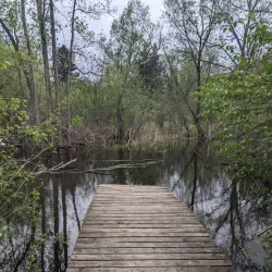 Bloomfield Hills Nature Preserve - Bloomfield Hills