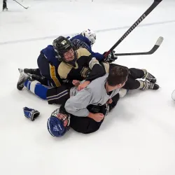 Brighton Ice Arena - Brighton