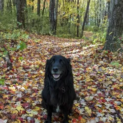 Brighton Recreation Area - Brighton