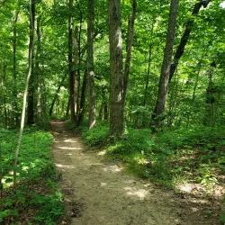 Brighton State Game Area - Brighton