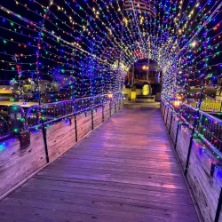 Downtown Brighton - Brighton