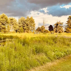 Glen Oaks Golf Course - Brighton
