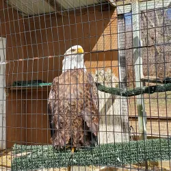 Howell Nature Center - Brighton